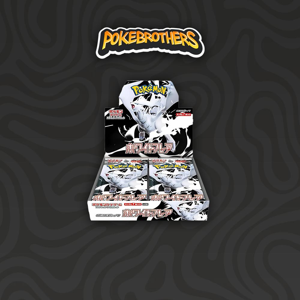 Display White Flare 20 Bustine JAP