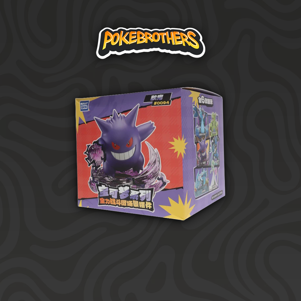 Pokemon Full Power Battle Series Holly Box